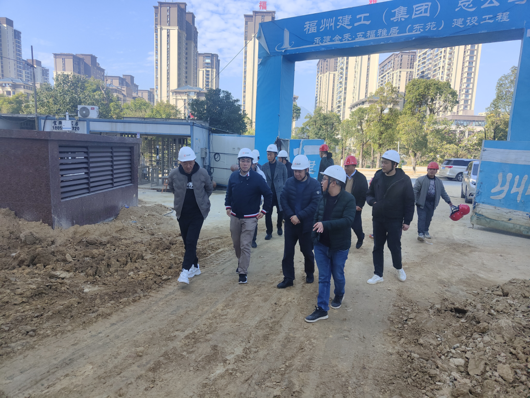 市永乐国际公司领导赴金禾公司各在建项目开展农民工工资督查和安全、质量调研指导